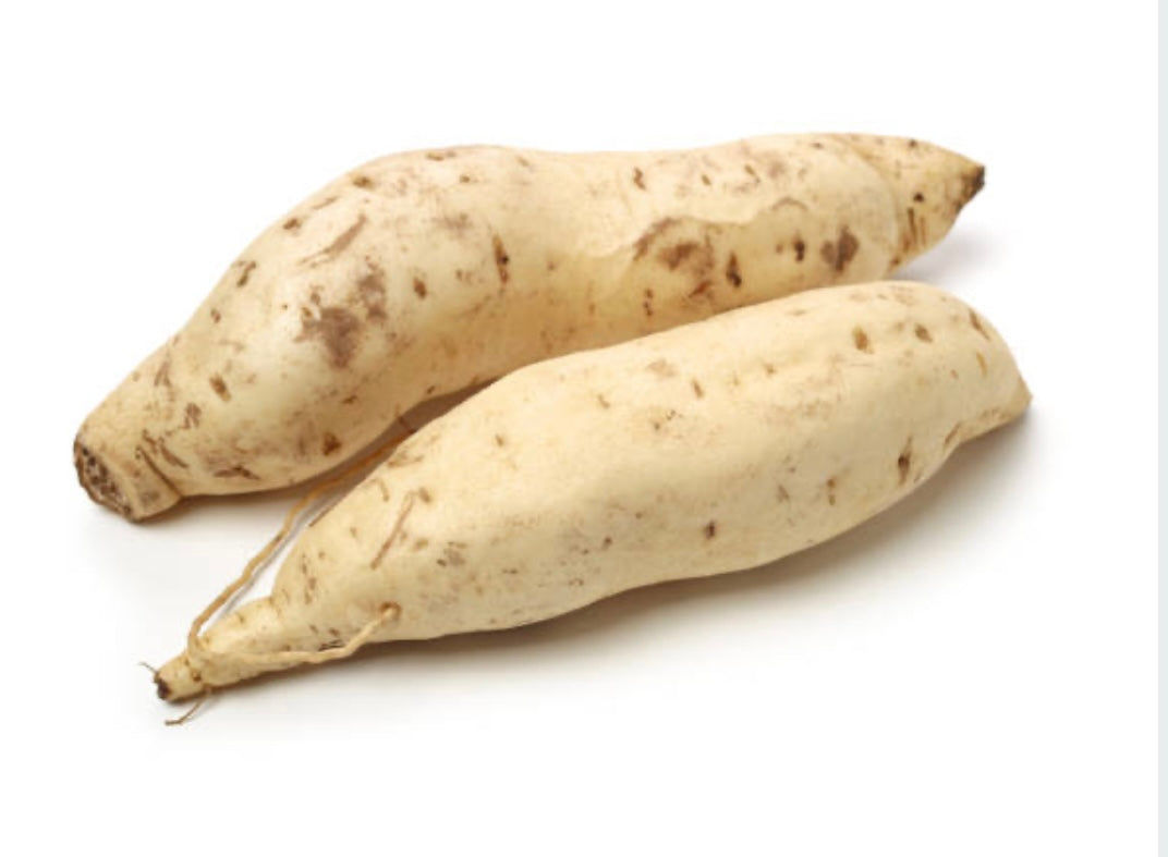Sweet Potato White Medium/kg