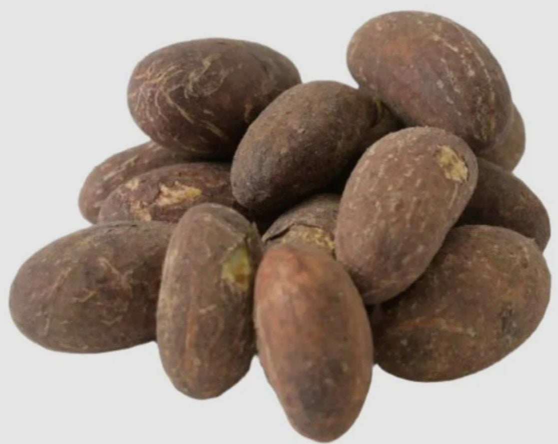 Bitter Cola Nuts