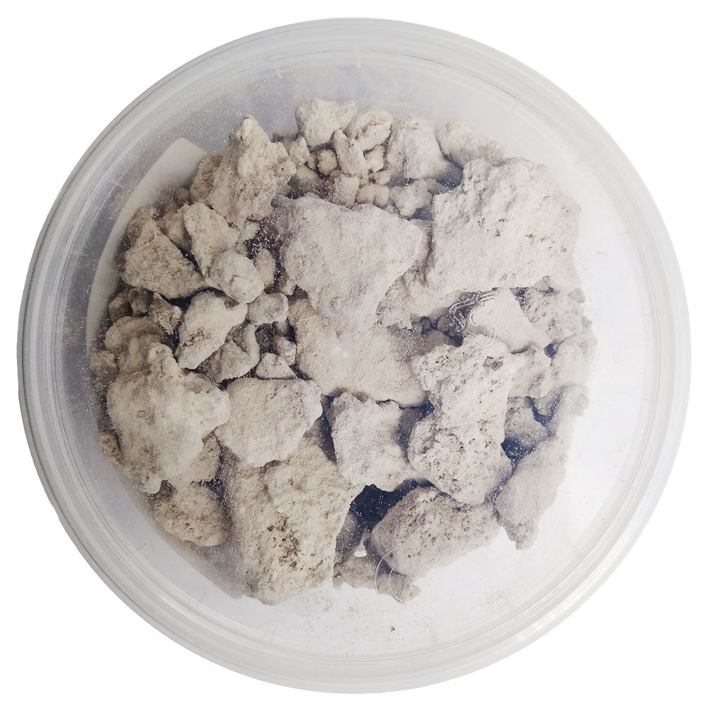 Lime Stone Akanwoh Jar - 200g